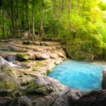 w-we-might-have-just-discovered-the-fountain-of-youth